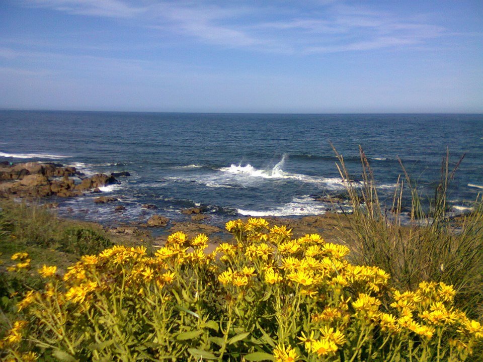 Ven a festejar a La Pedrera